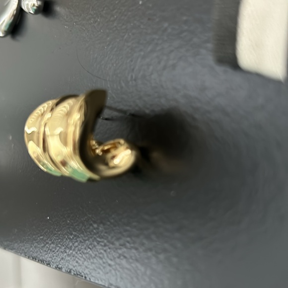 Jenny Bird NWOT Doune Chunky Hoop Earrings - Picture 6 of 9